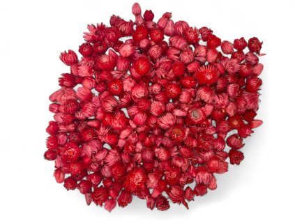 dried strawflowers helichrysum vestitum straw flowers heads 100g red red