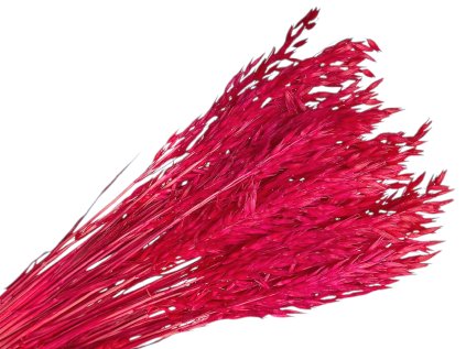 ovos suseny avena purpur