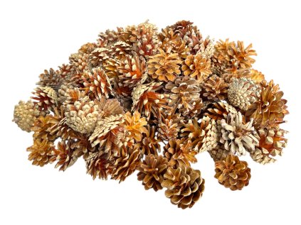 Borovicové šišky aranžérske 1kg svetlé hnedé (2)