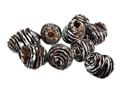 Sušené šišky Platyspermum 160g cca 9ks zabielené