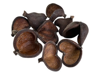 Sušený plod Badam 9ks prírodný