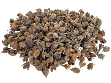 Dried beech nuts 300g natural