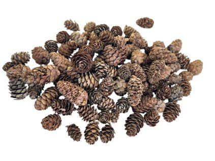 Larch Cones 230g natural brown