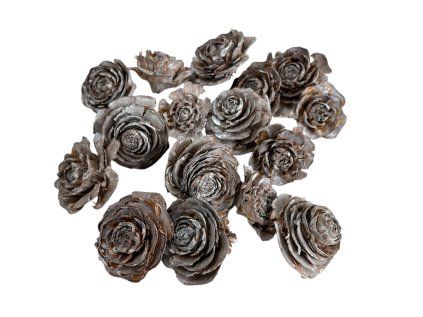Cedar roses 3–5cm 110 g vintage white