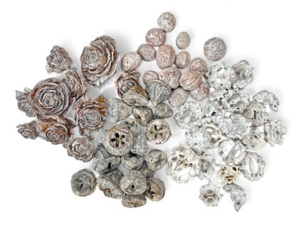 susina plody na aranzovanie vintage biele