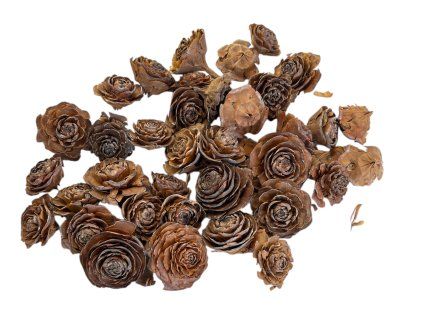 Cedar roses 3 5cm 200g natural