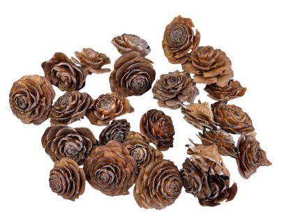 Cedar roses 5 7cm 180g natural (2)