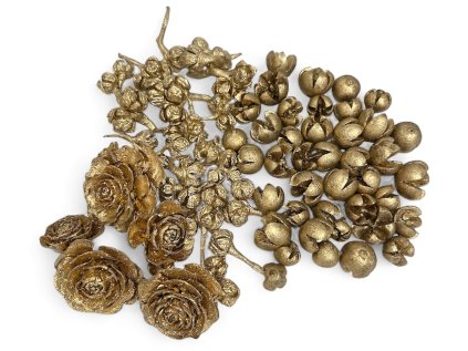 susina plody na aranzovanie zlate