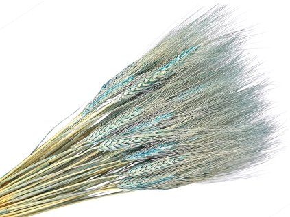 razne klasy svetlomodre