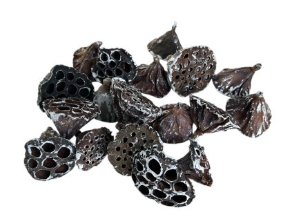 Sušené Lotosové kvety 4-6 cm 18ks - zabielené