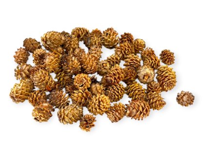 Šišky Salignum 110g - svetlé prírodné