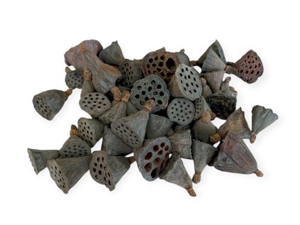 Photoroom 20251106 133019