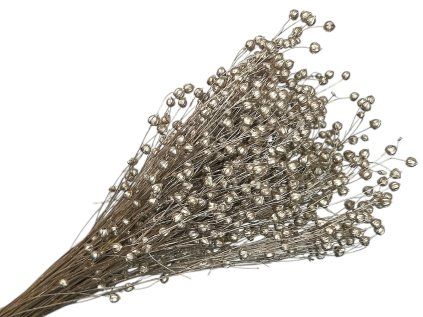 linum dried flax silver champagne platinum