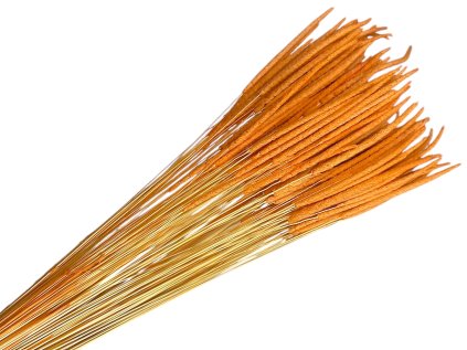 susena trava timotejka timothy grass phleum oranzova orange