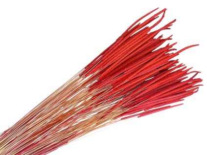 susena trava timotejka timothy grass phleum červená red