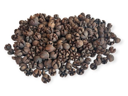 Dried fruits Schima Wallichii - Walachi pods 370g - natural