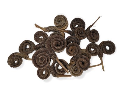 Photoroom 20251109 211200