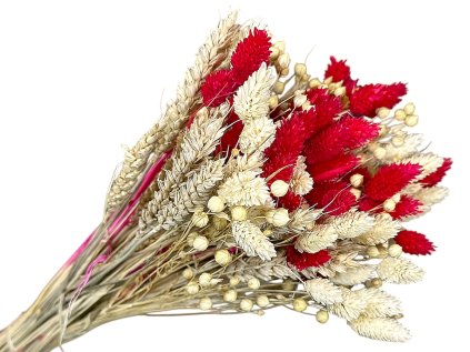 dried bouquet red white
