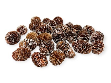 Sušené šišky Strictum 130g zabielené