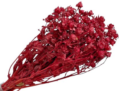 safran carthamus pozlt farbiarsky suseny cerveny