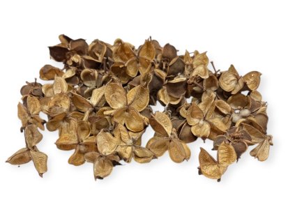 Dried cotton flower buds 160g natural