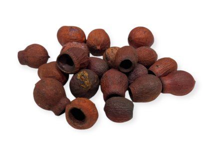 Dried eucalyptus berries Bell Gum 150g orange-brown