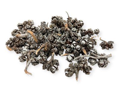 Dried Cyprus cones in a bunch 140g whitened