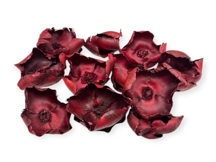 Dried palm flowers Cup 8cm 80g burgundy