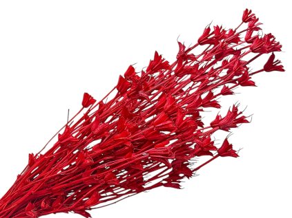 nigella black cumin dried red