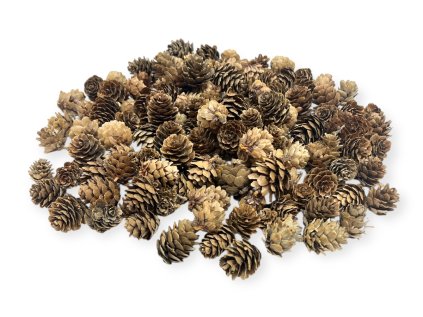 Larch Cones 240g Chinese Natural Brown