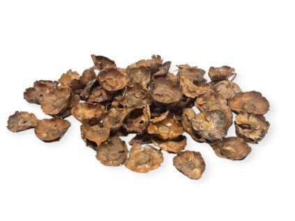 Natural dried palm cup flowers 5cm 400g