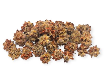 Dried Pubescens cones 260g natural