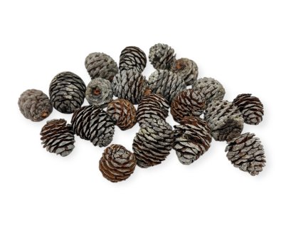 Sušené šišky Murii 160g prírodné