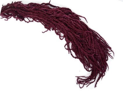 amaranthus hanged šarlát burgundy bordovy