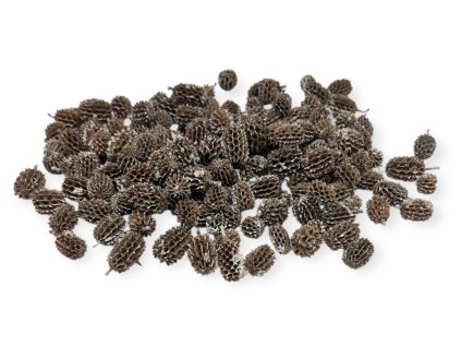 Sušené šišky Casuarina 220g zabielené