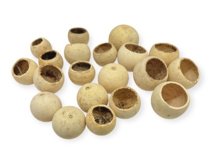 Sušené plody Bell Cup 4 5cm 20ks krémové