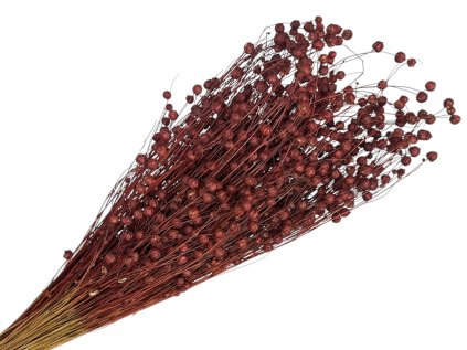 dried flax linen terracotta brown red