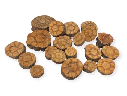 Dried patterned slices 150g flowers natural