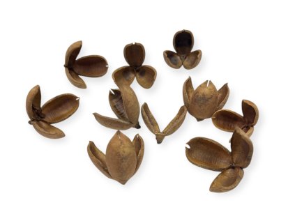 Photoroom 20251209 103824