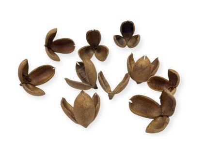 Photoroom 20251209 103824