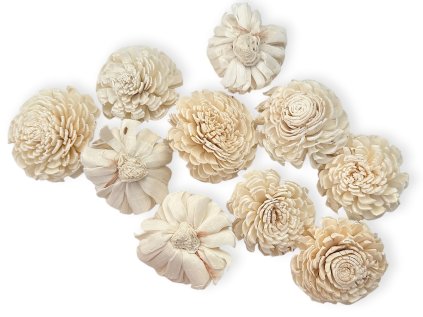 shola flower ming kvet 6cm natural white biele kremove3