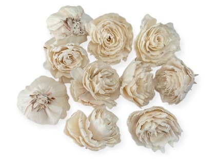 shola flower ming flower 6cm carnation dianthus