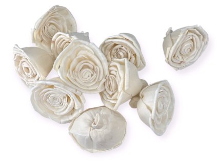 shola flower ming kvet 6cm rose ruža