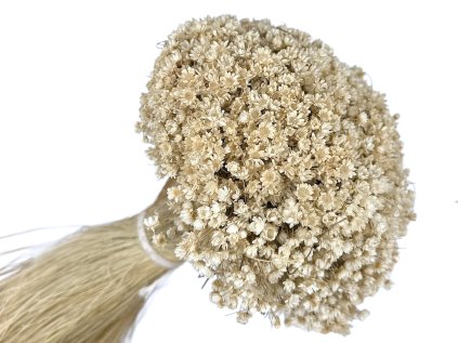 glixia marcela prirodna