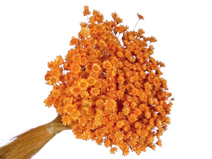 glixia 50g orange