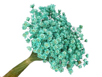 glixia 50g turquoise