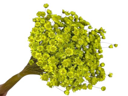 glixia 50g light green