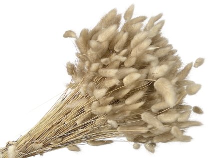 lagurus 250g xl natur