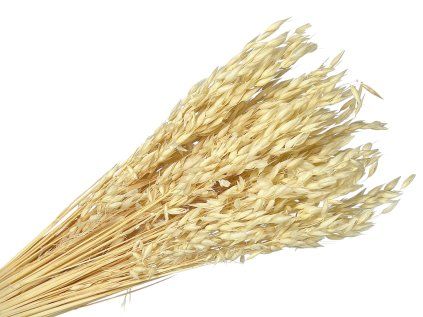 avena bleached oats