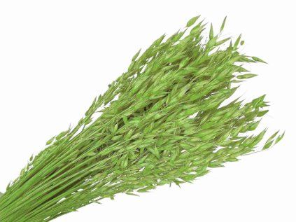 dried fruit dried oats light green